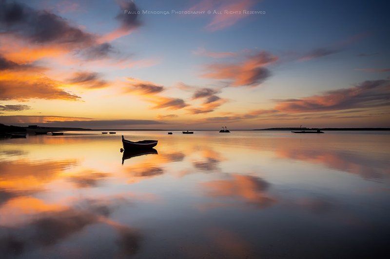 Serena Lagoaphoto preview