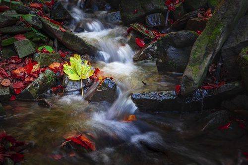 Bieszczady National Park - Poland