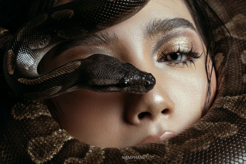 Python&Womanphoto preview