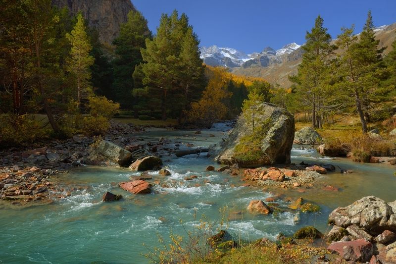 Воспоминания об осениphoto preview