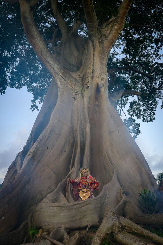 Tree spiritphoto preview