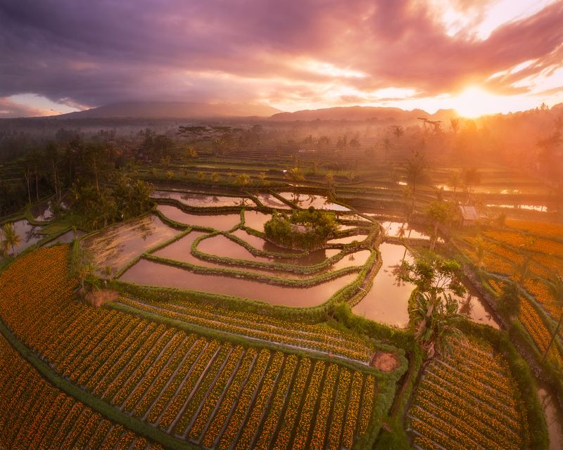 Mosaicsphoto preview