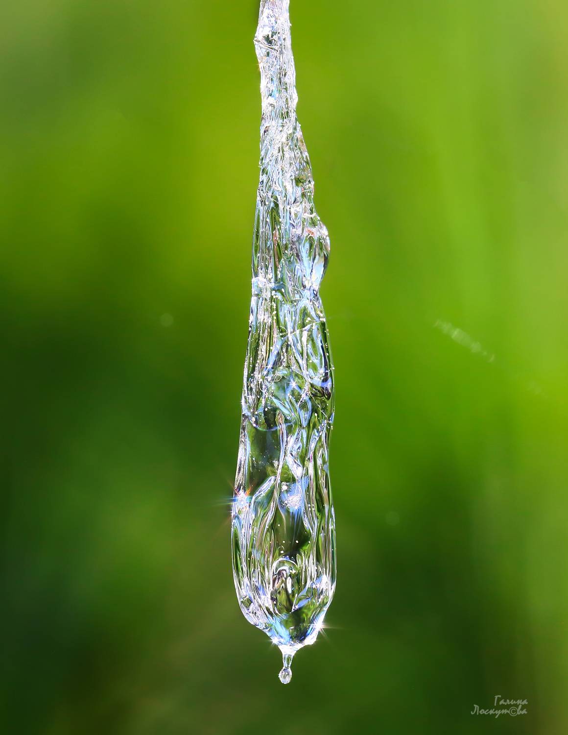 , Галина Лоскутова