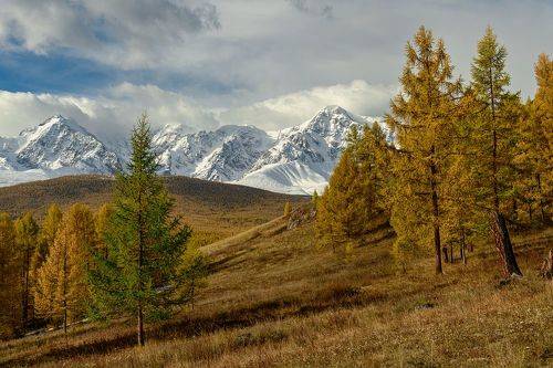 Осенний пейзаж