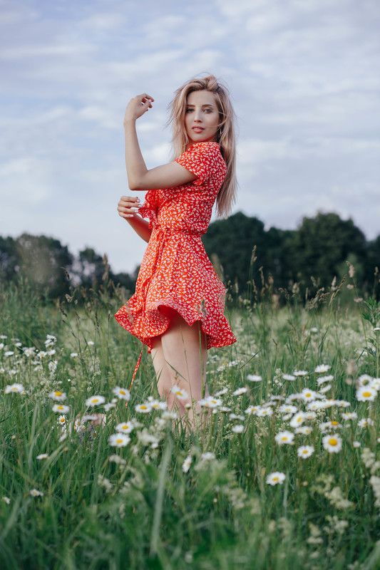 ромашки Annaphoto preview