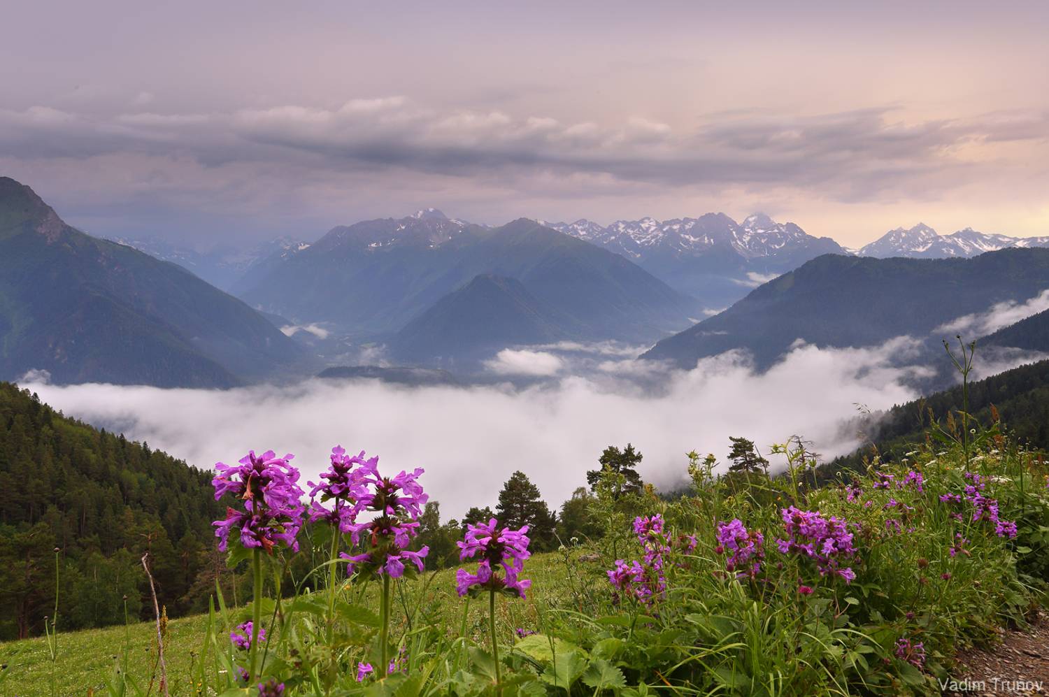 После дождя. Автор: Вадим Трунов , Вадим Трунов