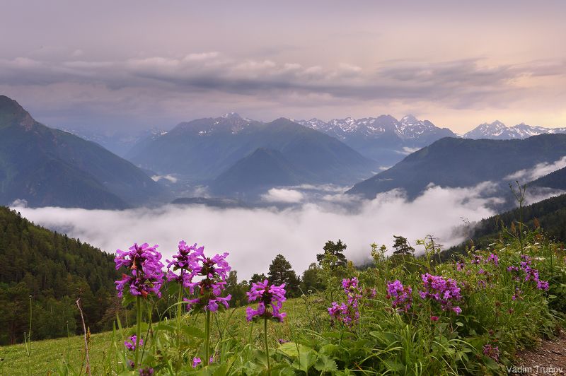 После дождяphoto preview