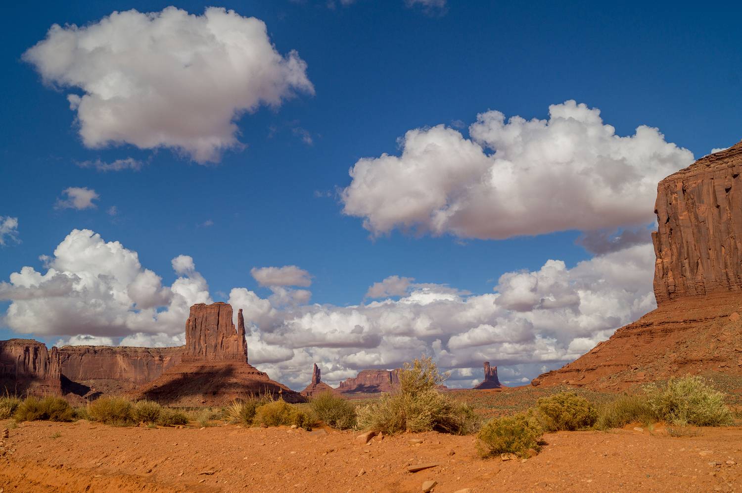 , Лариса Дука