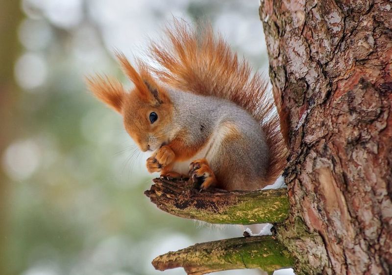 Холодно то как и жрать нечегоphoto preview