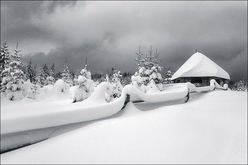 первый снег