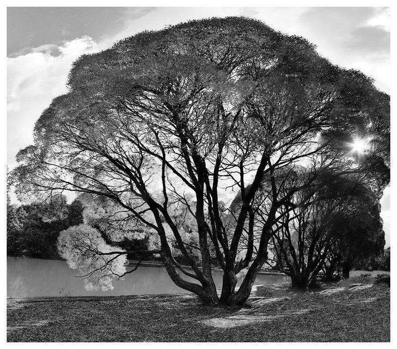 Ш Е Л К О Г Р А Ф И Яphoto preview