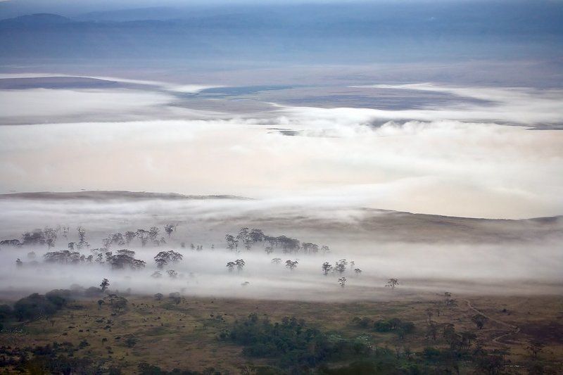 Дали туманные...photo preview