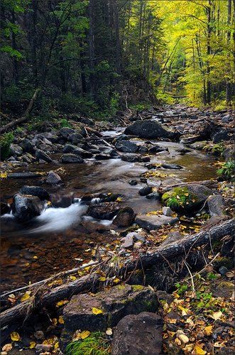 Средняя Амгу