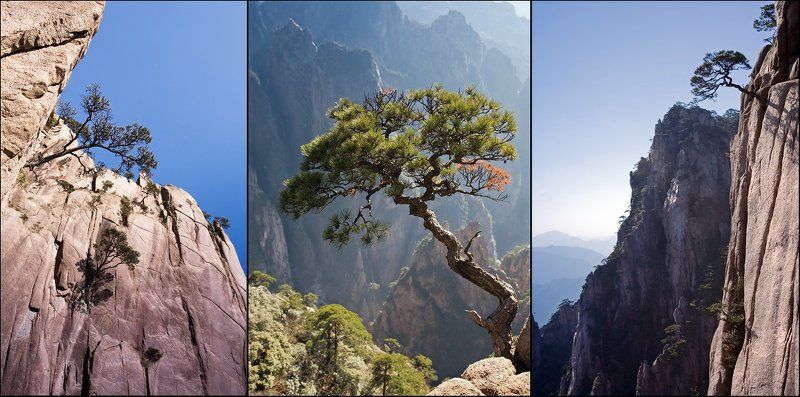 Наскальная жизнь...или воспоминания о горах Хуаншаньphoto preview