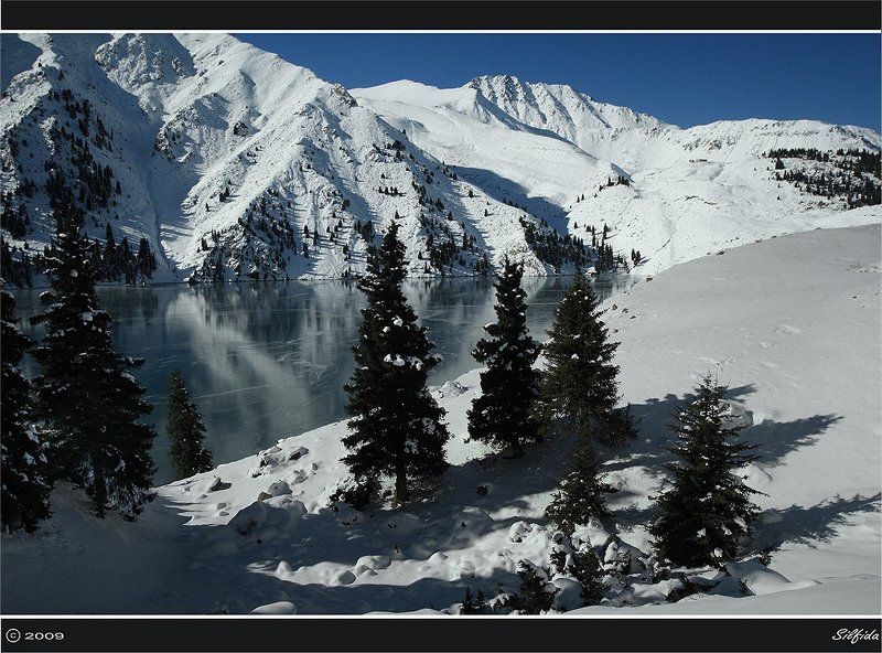 природа, озеро, зима, ели. Зимний пейзаж.photo preview