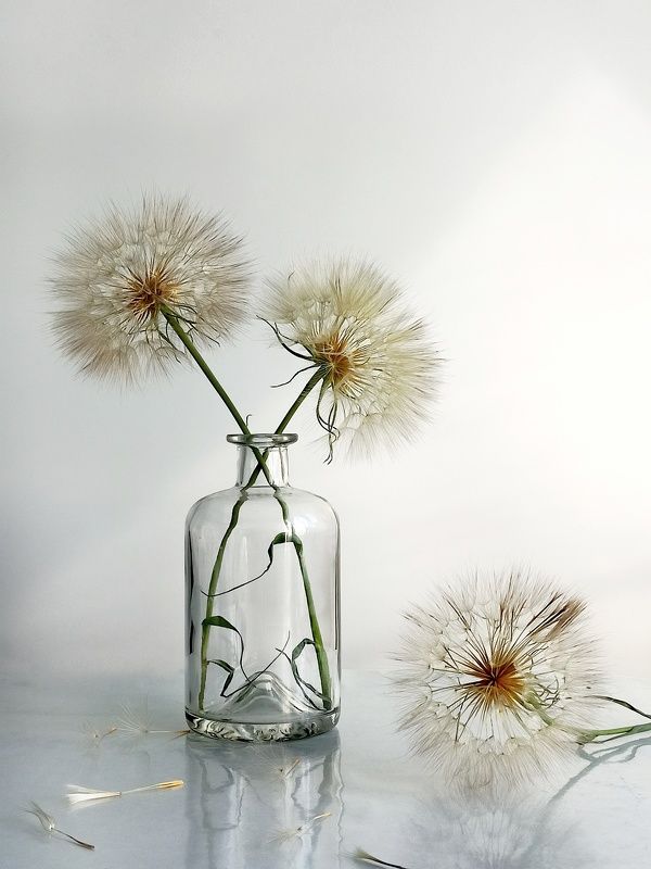 Арт-фото во всех проявленияхphoto preview