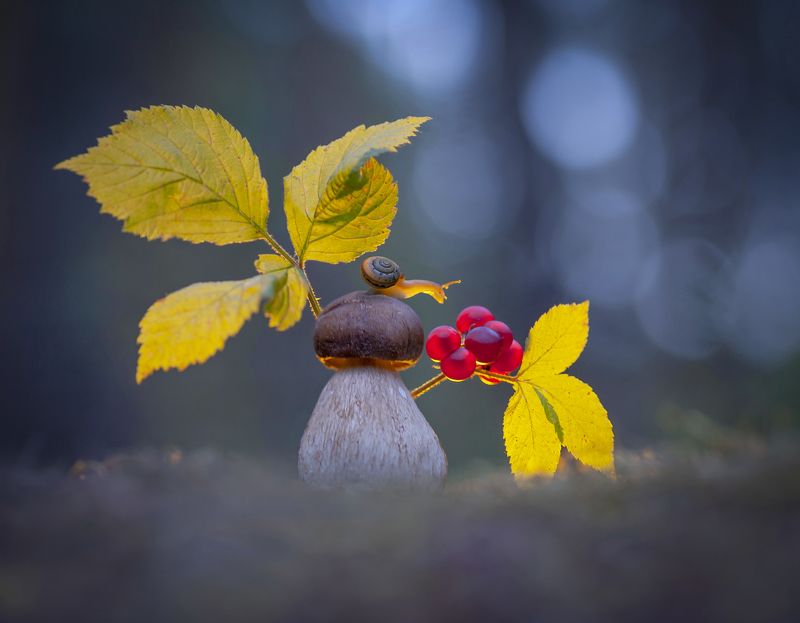 С костяникой...photo preview