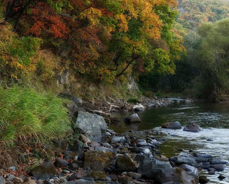 осенний, берег, река партизанская, приморье, осень осенний берегphoto preview