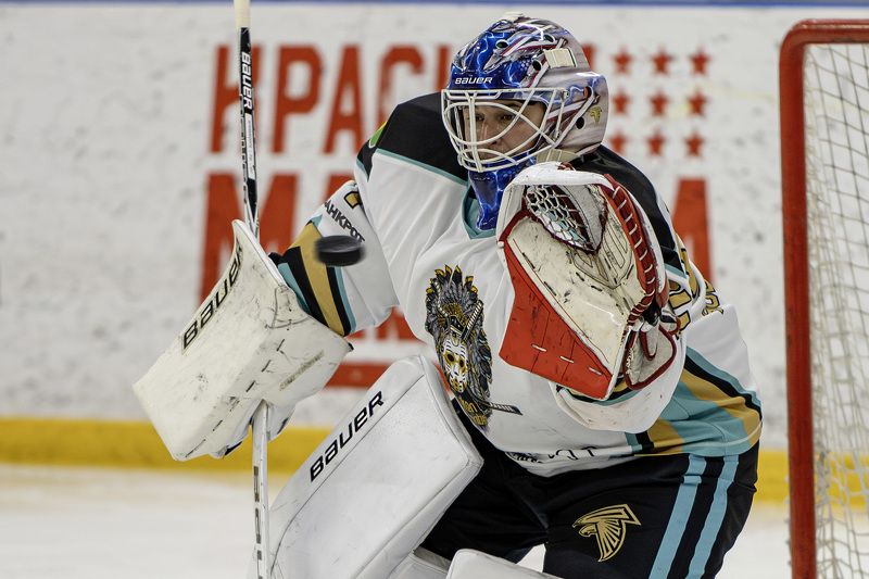 Голкипер на месте.photo preview