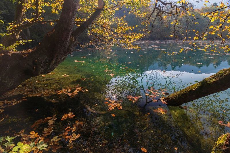 Отраженияphoto preview