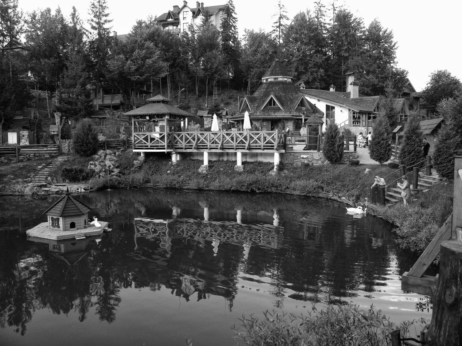 , Савоцкий Роман