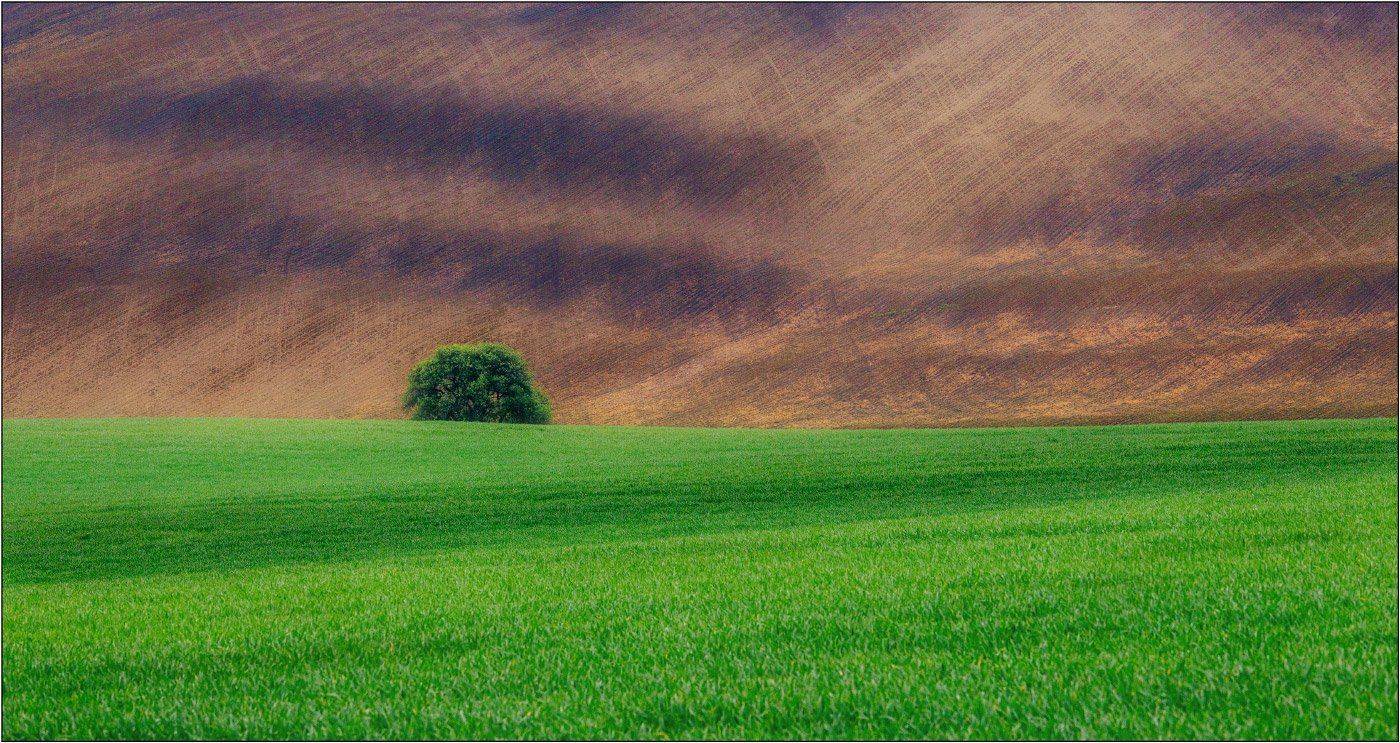 Сёрфинг . Автор: Рудченко Анатолий , Рудченко Анатолий