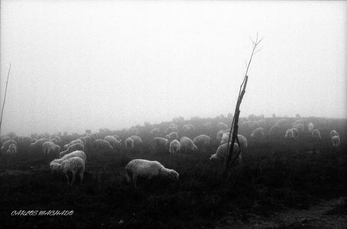 Serra D'Arga 5