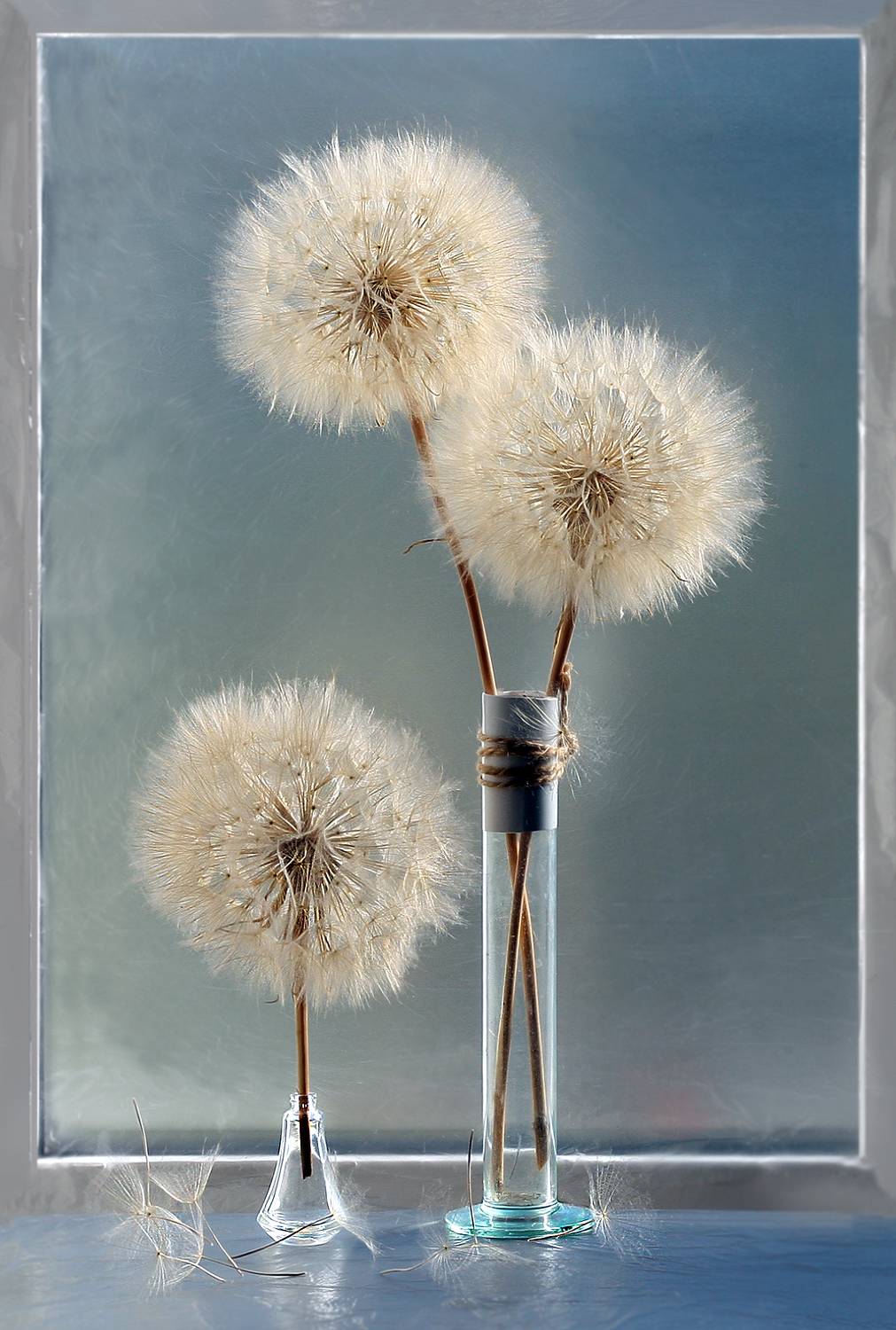 , Заболотская Ольга