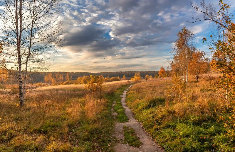 Осенними дорожками.photo preview