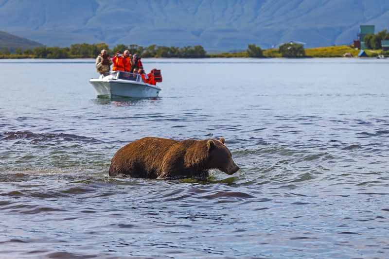 Как же вы мне надоелиphoto preview