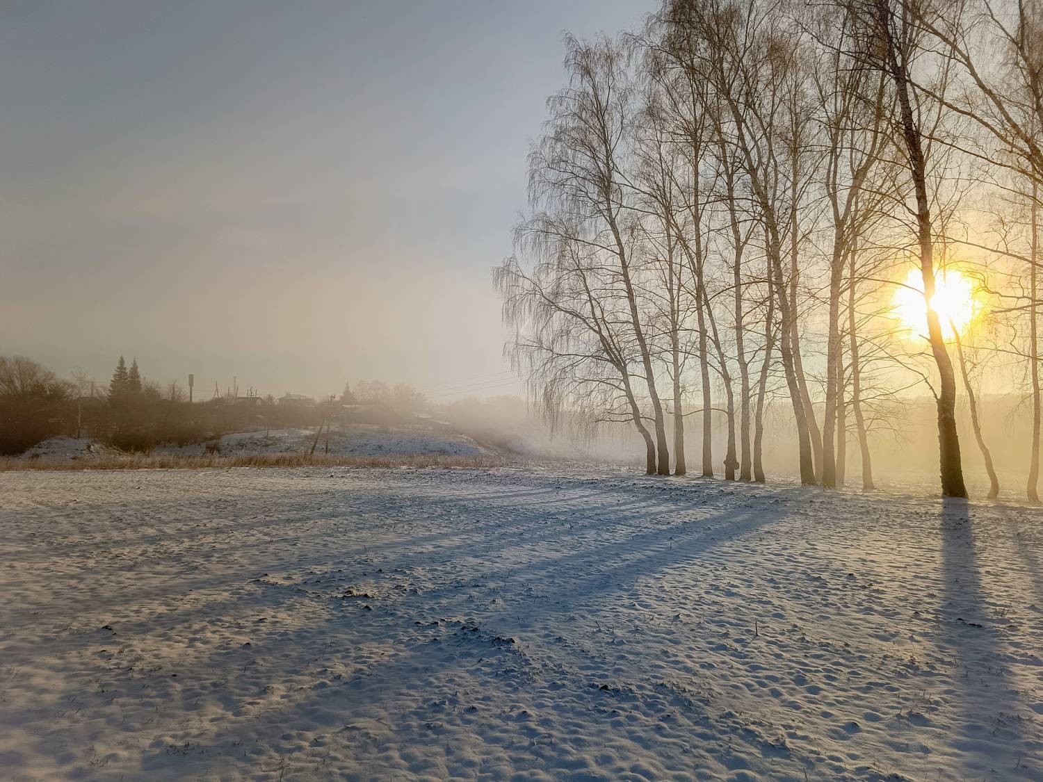 Автор: Кондрашова Светлана , Кондрашова Светлана