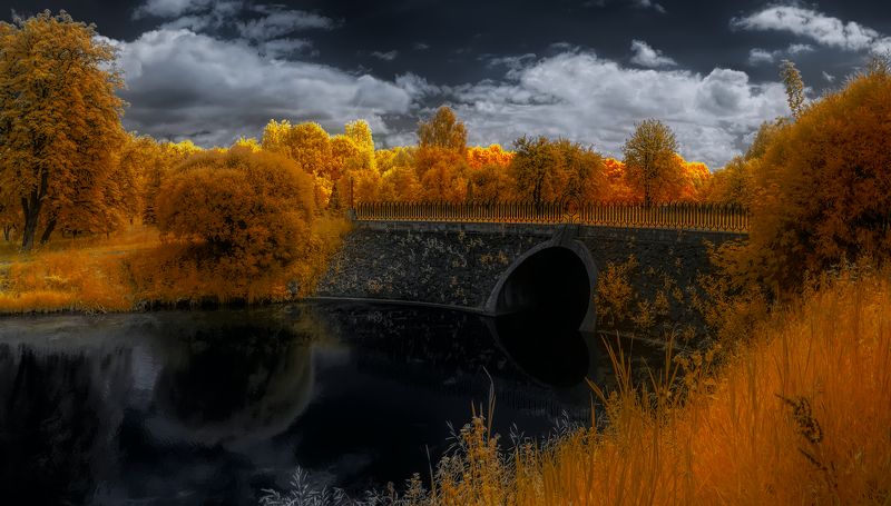 Черное сердцеphoto preview