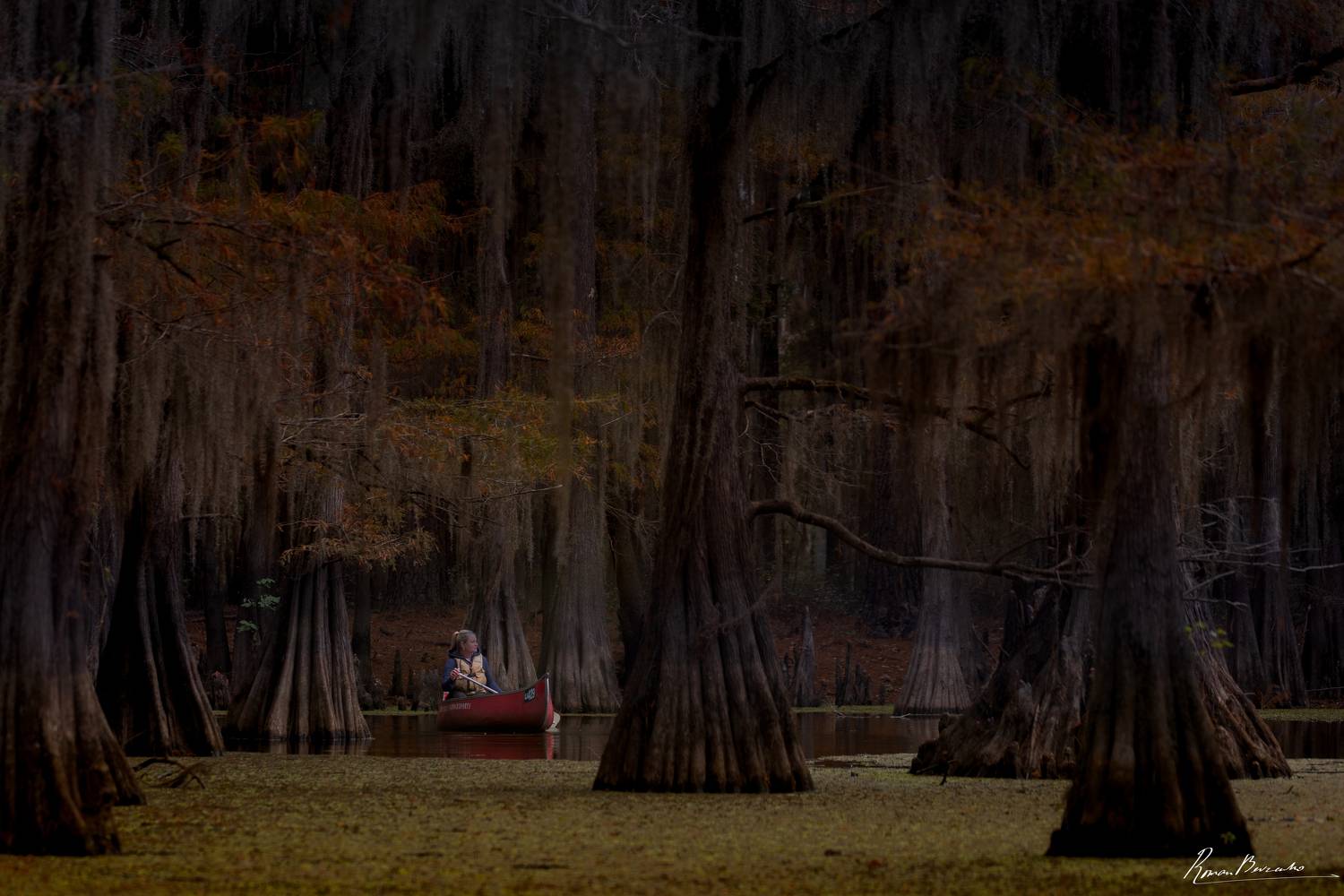A Lady in the Mystic Forest. Автор: Bevzenko Roman cypress, swamp, lake, boat, landscape , Bevzenko Roman