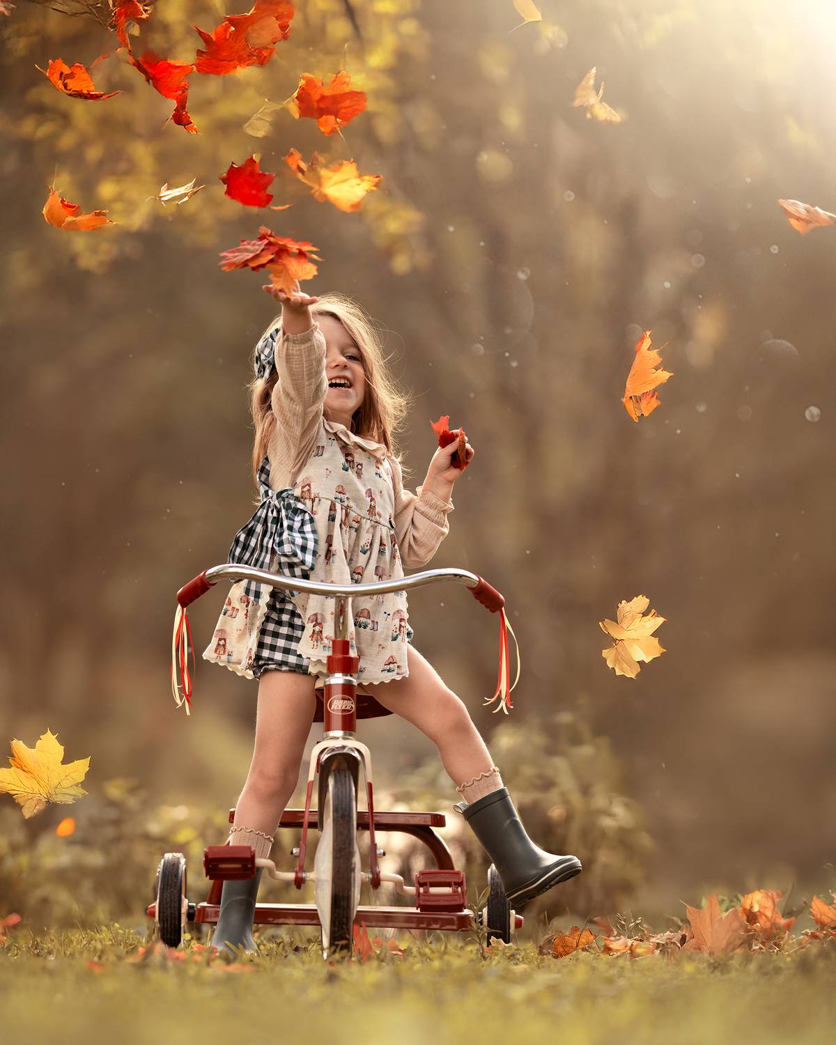 Автор: Paola Kerestegian , Paola Kerestegian