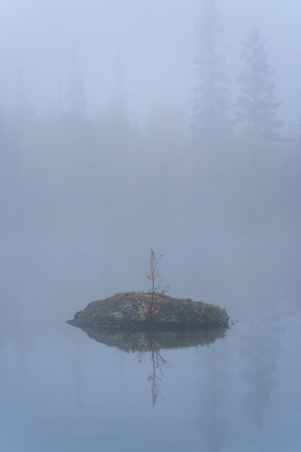 Автор: Maria Pochikaeva Landscape, Maria Pochikaeva