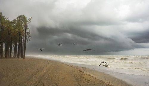 Надвигается