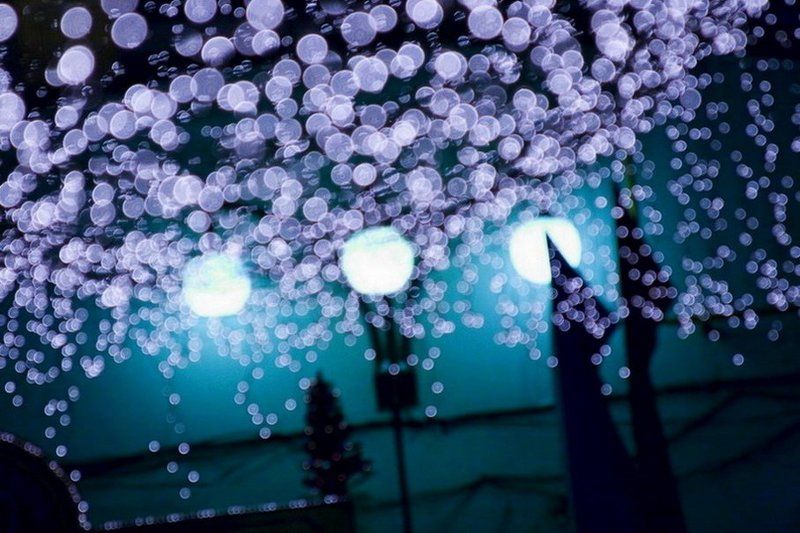 0o*0Oo.0*photo preview