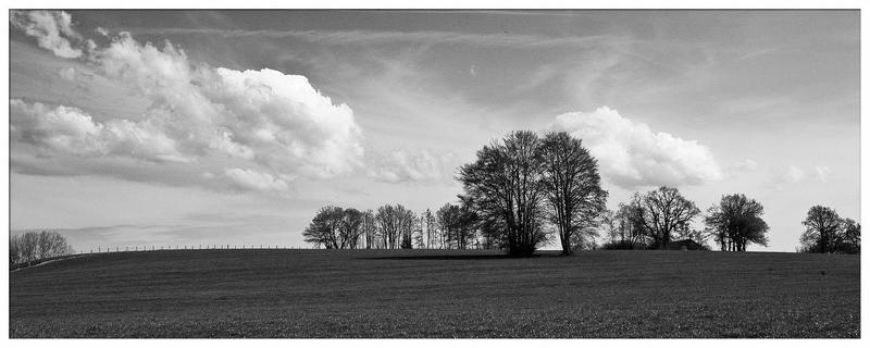 Тишинаphoto preview