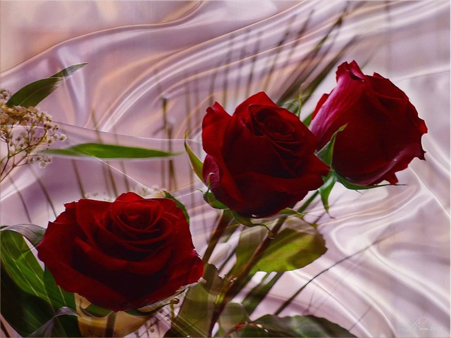 Празднечная фантазия.... Автор: Раиса Rare розы, Раиса Rare