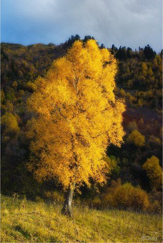 Последний вызов Зиме