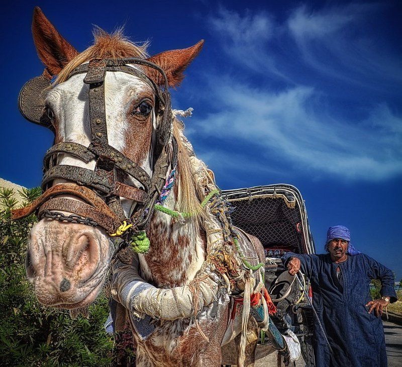 *Восточные зарисовки*photo preview