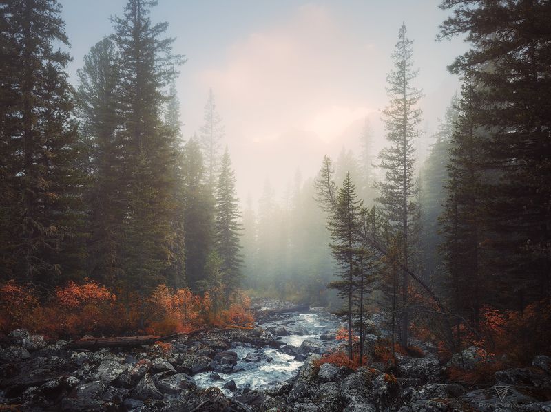 Туманное утро на Поперечнойphoto preview