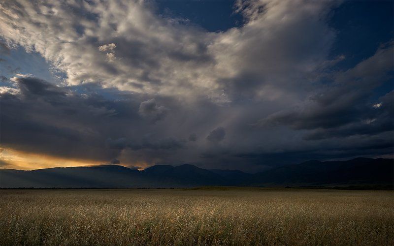 алтай, уймонская степь, теректинский хребет, дождевые облака, вечер Уймонская долинаphoto preview