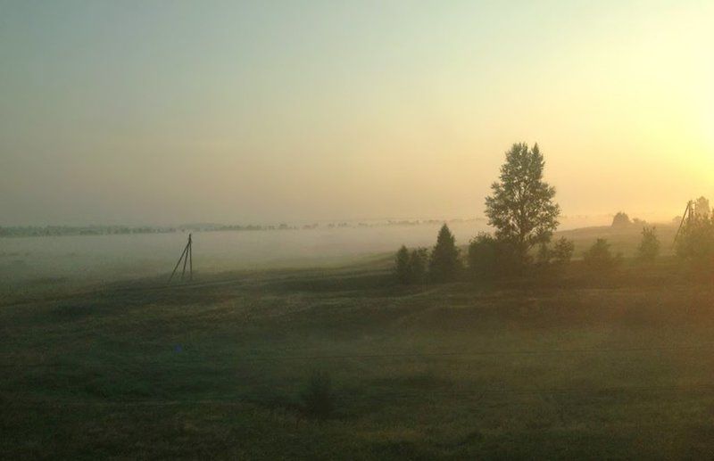 рассветноеphoto preview