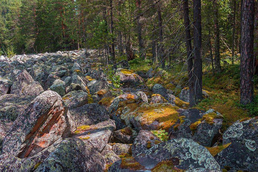 , Александр Кожухов
