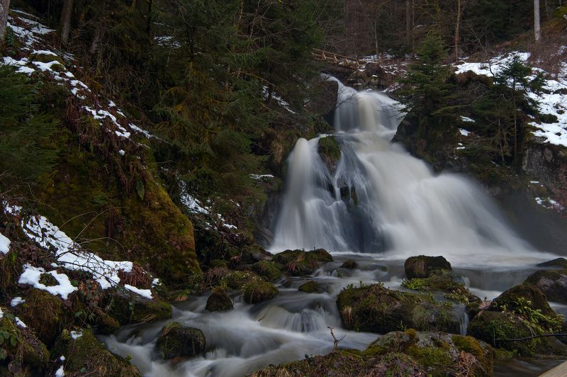 портфолиоphoto preview