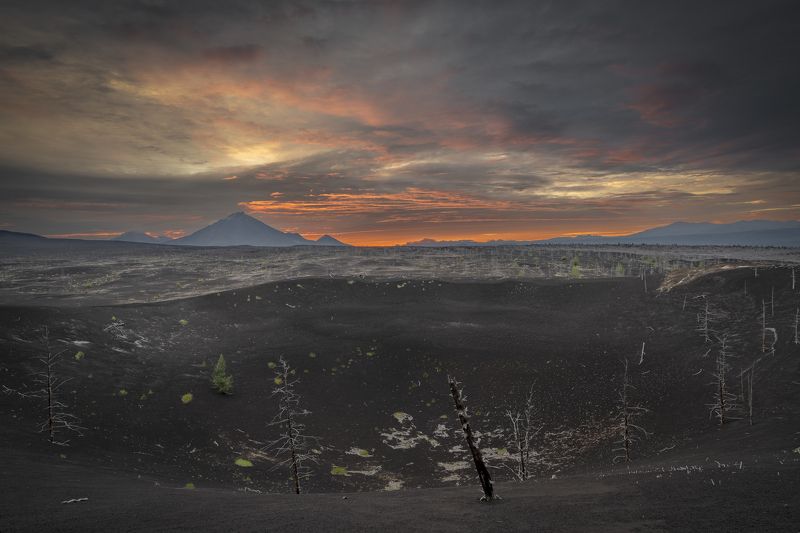 камчатка, рассвет, толбачик, мертвый лес, вулканический песок Мертвый лес на рассветеphoto preview