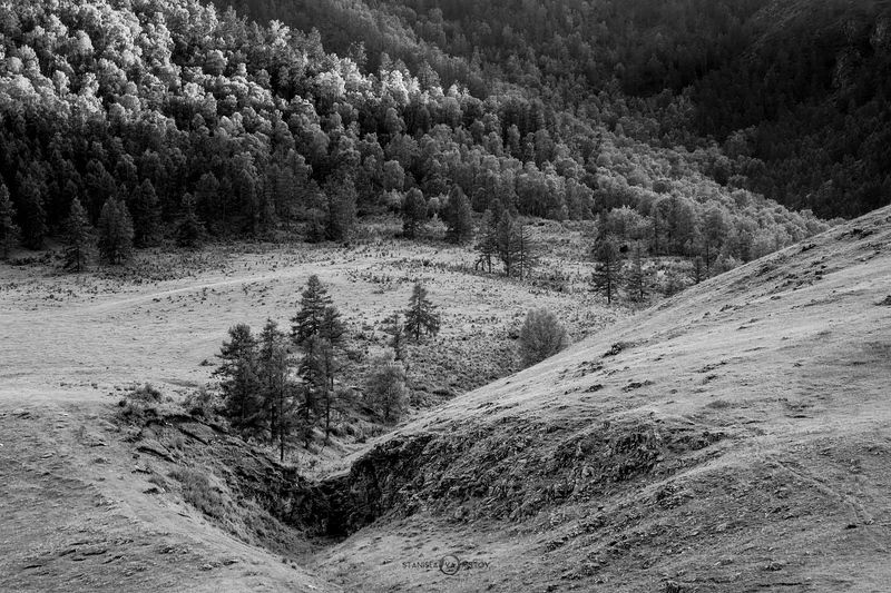 Алтайский пейзаж в чбphoto preview