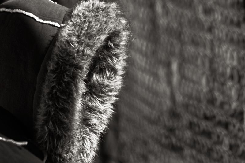 холодныйphoto preview