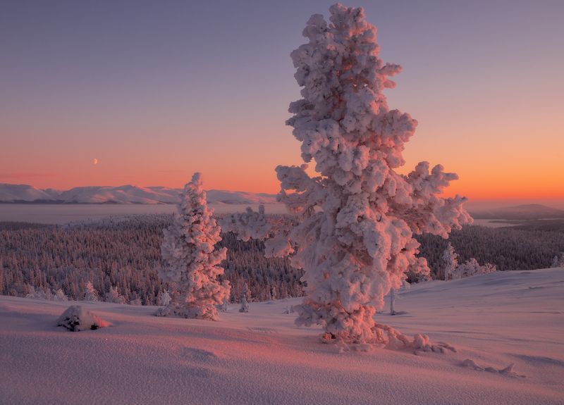 пейзаж,хибины,кольский,север Морозное утроphoto preview